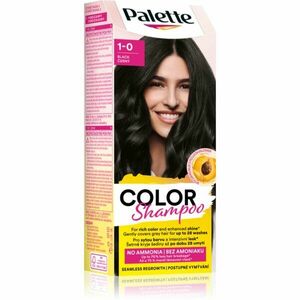 Schwarzkopf Palette Color Shampoo tónovací šampon odstín 1-0 (113) Black 50 ml obraz