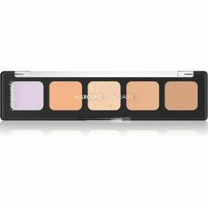 Catrice Allround Concealer paleta korektorů odstín 020 Light 6 g obraz