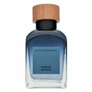 Adolfo Dominguez Ámbar Negro parfémovaná voda pro muže 120 ml obraz