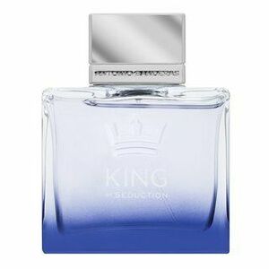 Antonio Banderas King Of Seduction toaletní voda pro muže 100 ml obraz