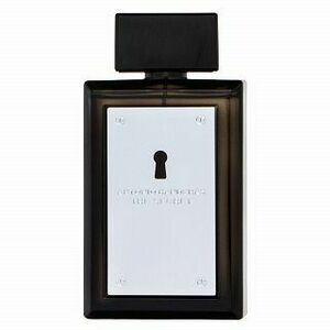 Antonio Banderas The Secret toaletní voda pro muže 100 ml obraz