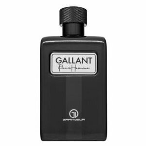 Grandeur Gallant parfémovaná voda pro muže 100 ml obraz