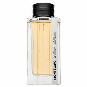 Mont Blanc Vetiver Glacier parfémovaná voda pro muže 125 ml obraz