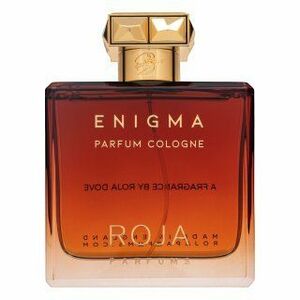 Roja Parfums Enigma kolínská voda pro muže 100 ml obraz