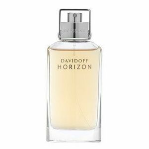 Davidoff Horizon toaletní voda pro muže 75 ml obraz