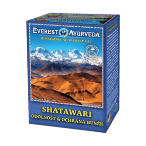 EVEREST AYURVEDA Shatawari sypaný čaj 100 g obraz