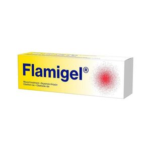 FLAMIGEL 250 g obraz