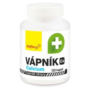 WOLFBERRY Vápník 120 kapslí obraz