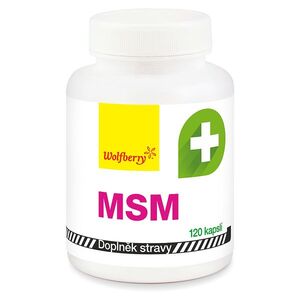 WOLFBERRY MSM 120 kapslí obraz