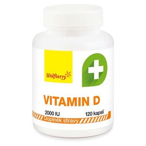 WOLFBERRY Vitamín D 120 kapslí obraz