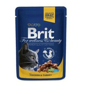 BRIT Premium Cat kapsa with Chicken & Turkey 100 g obraz