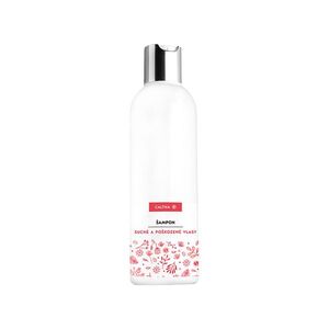 CALTHA Šampon suché a poškozené vlasy Bezový květ a šípek 250 ml obraz