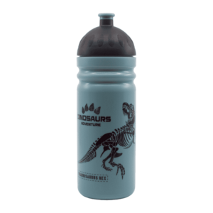 ZDRAVÁ LAHEV T-rex 700 ml obraz