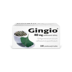 GINGIO 40 mg 100 potahovaných tablet obraz