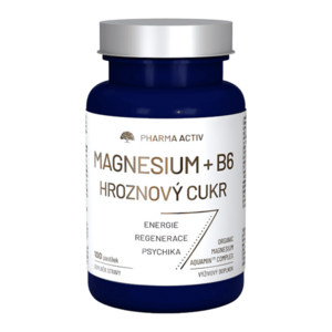 PHARMA ACTIV Magnesium + B6 hroznový cukr 100 pastilek obraz