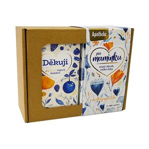 APOTHEKE Pro maminku dárková čajová sada 2x20 sáčků obraz