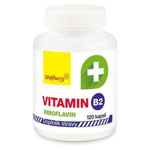WOLFBERRY vitamín B2 - riboflavin 120 kapslí obraz