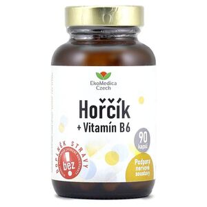 EKOMEDICA Hořčík + vitamín B6 90 kapslí obraz