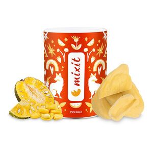 MIXIT Křupavé ovoce jackfruit 60 g obraz