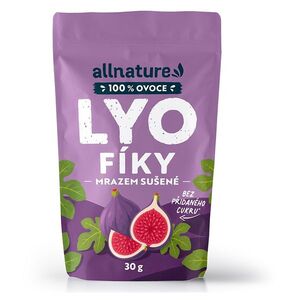 ALLNATURE Fíky sušené mrazem 30 g obraz