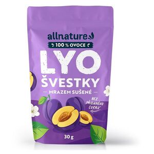 ALLNATURE Švestky sušené mrazem 30 g obraz