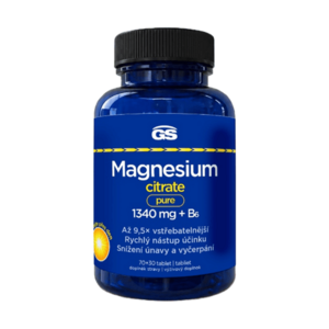 GS Magnesium citrate pure + B6 70 + 30 tablet obraz