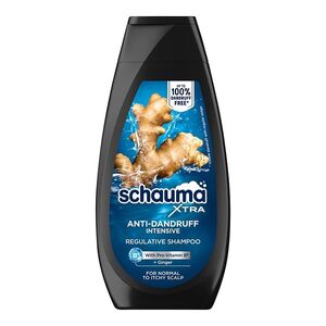 SCHAUMA Men Anti-Dandruff Intensive Šampon proti lupům 350 ml obraz