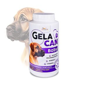 GELACAN baby 1000 g obraz