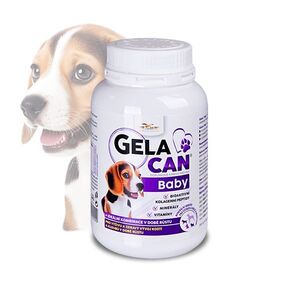 GELACAN baby 150 g obraz