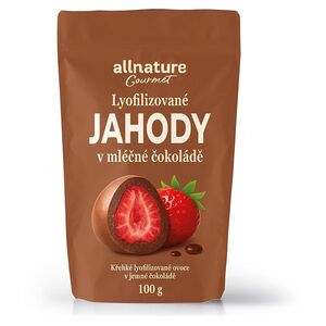 ALLNATURE Mrazem sušené jahody v mléčné čokoládě 100 g obraz