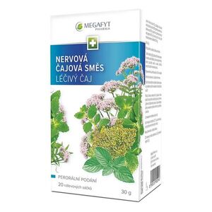 MEGAFYT Nervová čajová směs 20 sáčků I obraz