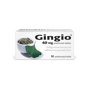 GINGIO 40 mg 90 potahovaných tablet obraz
