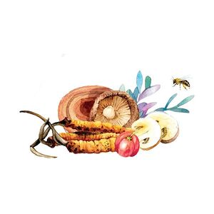 MYCOMEDICA Medocomplex 400 g obraz