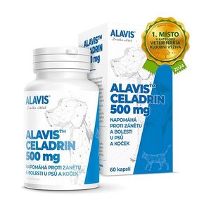 ALAVIS Celadrin 60 tablet obraz