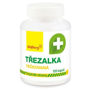 WOLFBERRY Třezalka tečkovaná 120 kapslí obraz