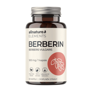 ALLNATURE Berberin Extrakt 98% 500 mg 60 kapslí obraz