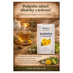 HERBEX Slinivka a trávení 20 sáčků obraz