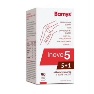BARNY´S Inovo5 90 tablet obraz