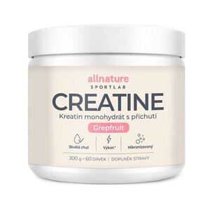 ALLNATURE Sportlab creatine monohydrát grep 300 g obraz