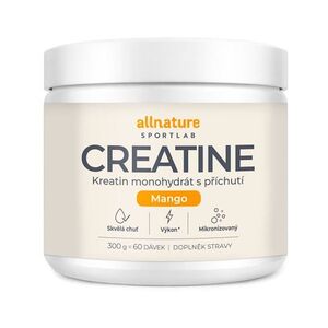 ALLNATURE Sportlab creatine monohydrát mango 300 g obraz