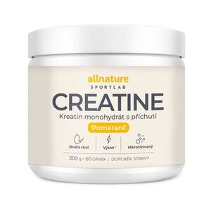 ALLNATURE Sportlab creatine monohydrát pomeranč 300 g obraz