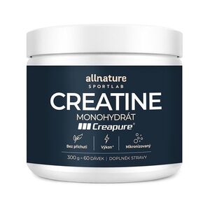 ALLNATURE Sportlab creatine creapure 300 g obraz