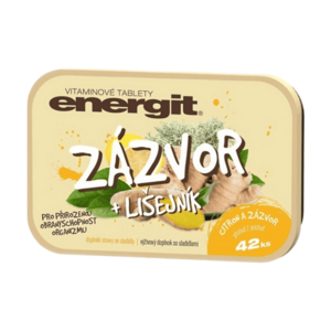 ENERGIT Zázvor + lišejník 42 tablet obraz