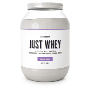 GYMBEAM Protein just whey borůvkový jogurt 1000 g obraz