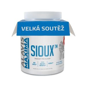 Barny´s Sioux MSM 600 g obraz