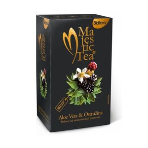 Biogena Tea Aloe Vera + Ostružina porcovaný čaj 20x2, 5 g obraz