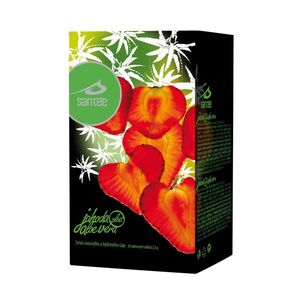 Santée Jahoda & Aloe vera porcovaný čaj 20x2, 5 g obraz