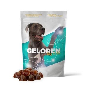 Geloren Dog L-XL kloubní výživa 60 tablet obraz