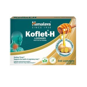 Himalaya Herbals Koflet-H Ginger pastilky s medem 12 ks obraz