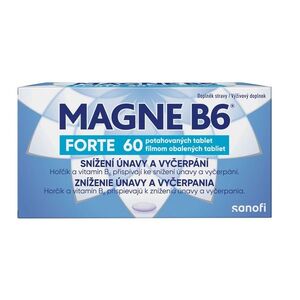 Magne B6 Forte 60 tablet obraz